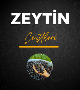 Zeytin